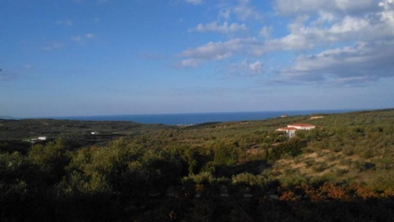 Kiparissos bei Maleme Kreta, Kiparissos: Grundstück auf einem Hügel mit Panoramablick zu verkaufen Grundstück kaufen
